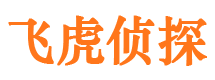 武陵捉小三公司